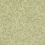 Green   for ; Finish -